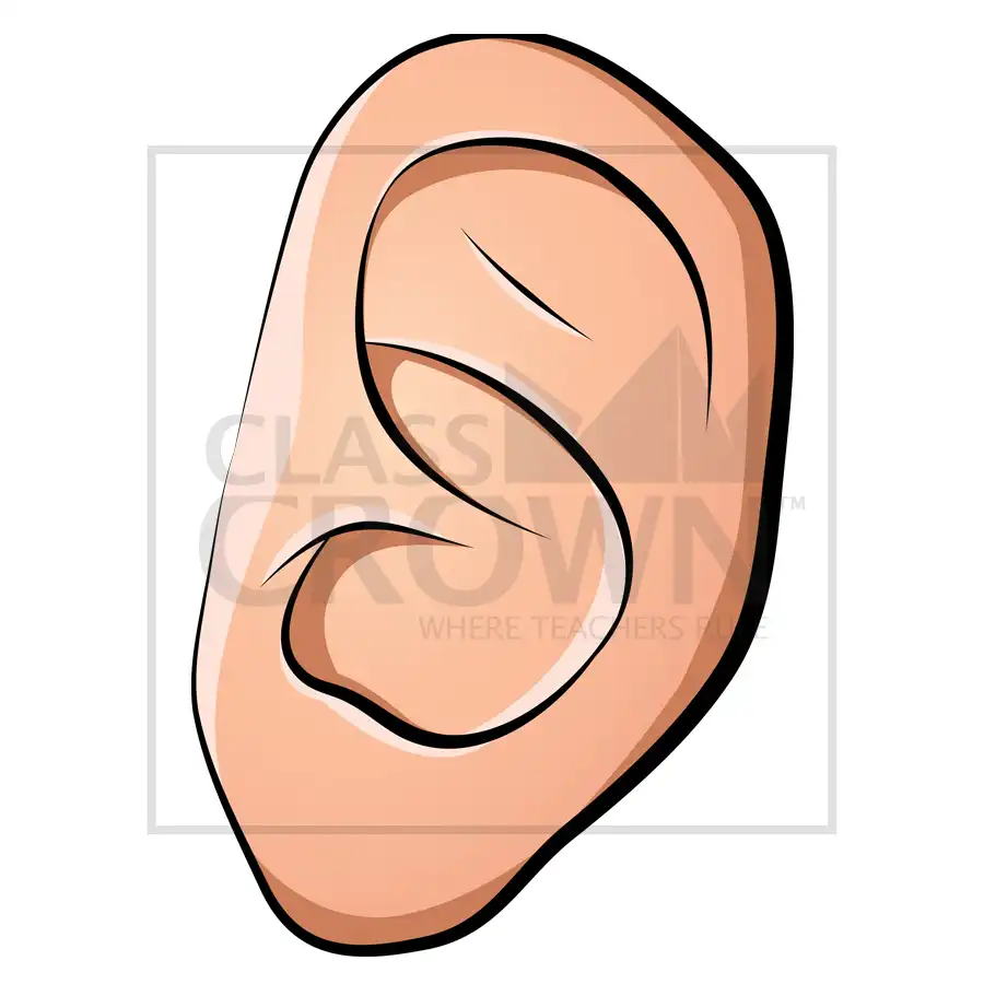 ear clip art for kids