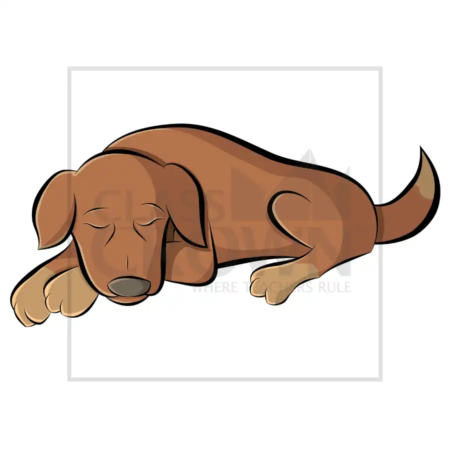 Brown sleeping dog with light paws